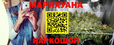 тгк Гай