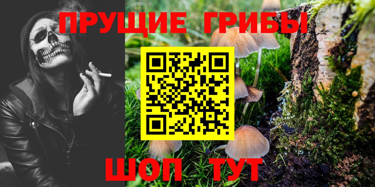 Псилоцибиновые грибы мухоморы  хочу   Нефтекумск  Вход с VPN 