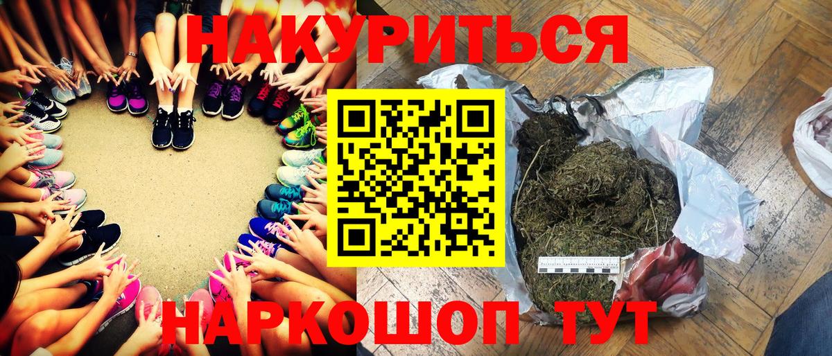 Каннабис сатива Нефтекумск